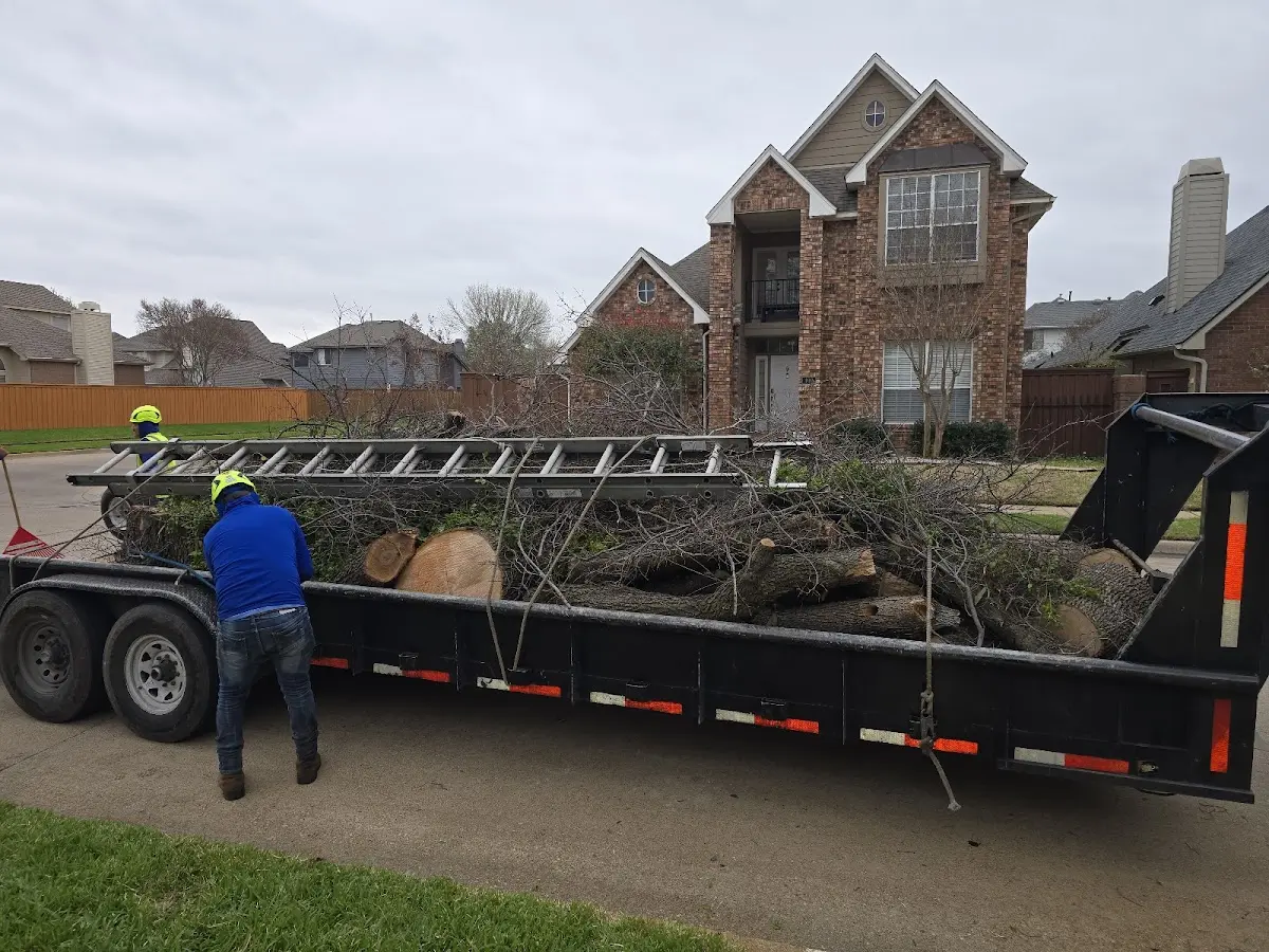 Expert Lot Clearing with proper safety equipment in Chapin